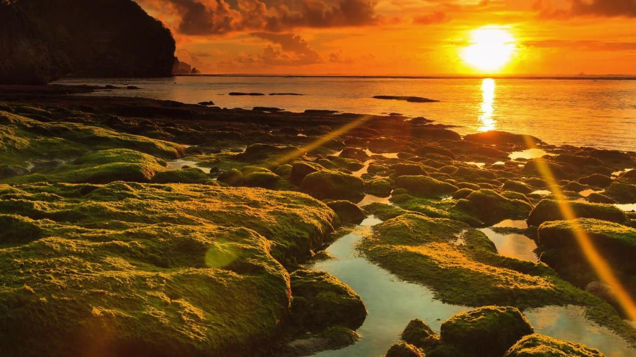 Bale Bingin Beachfront Stay ウルワツ エクステリア 写真